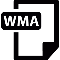 WMA format vector