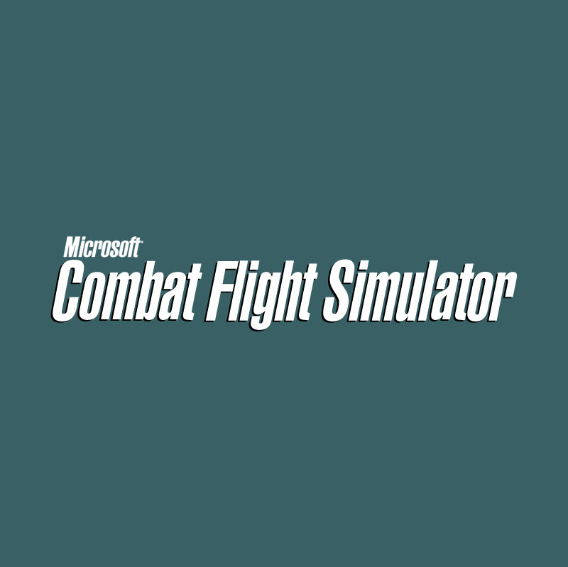 Combat Flight Simulator vector