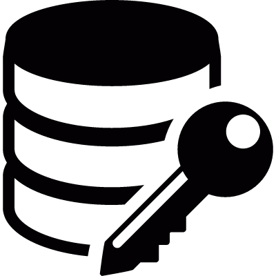 data encryption vector logo