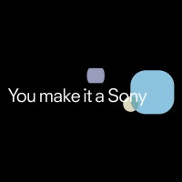 You make it a Sony vector