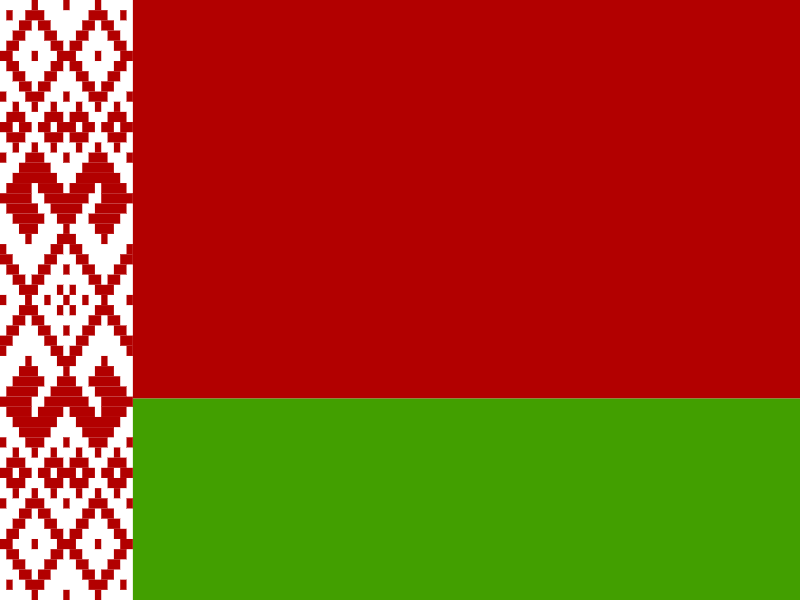Flag of Belarus vector