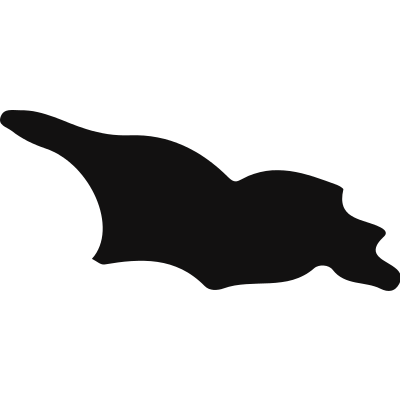 Georgia black country map shape vector logo