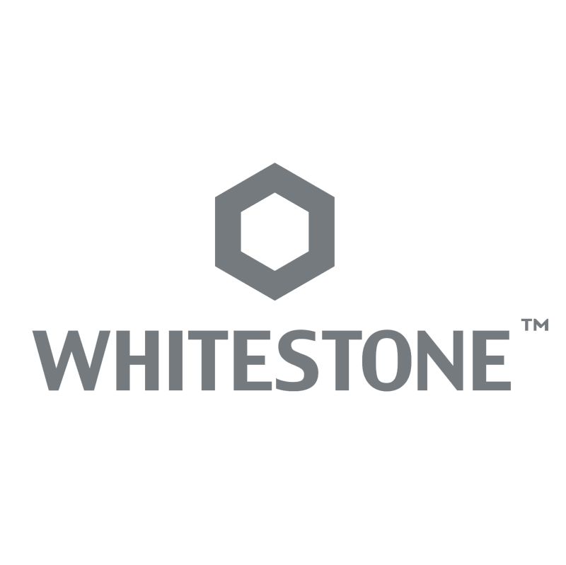 WhiteStone Technology Pte Ltd vector
