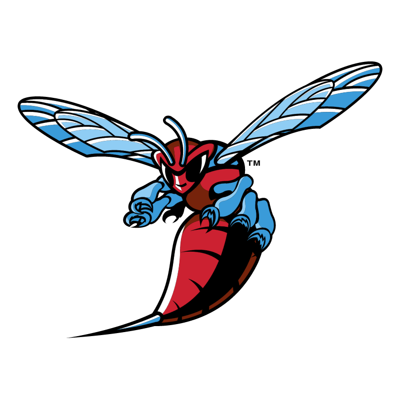 Delaware State Hornets vector logo