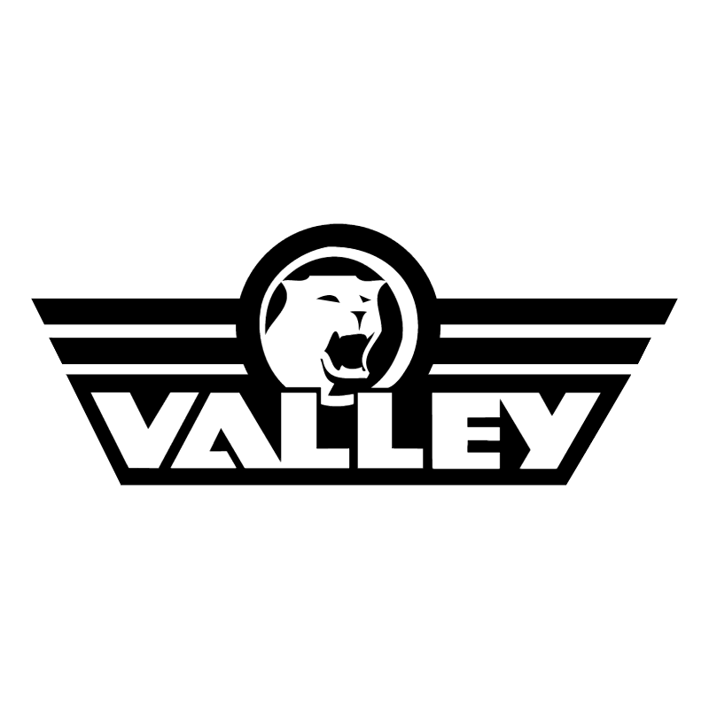 Valley vector