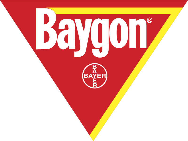 Baygon vector