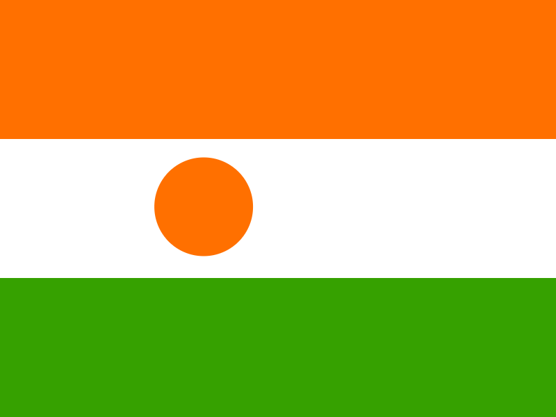 Flag of Niger vector