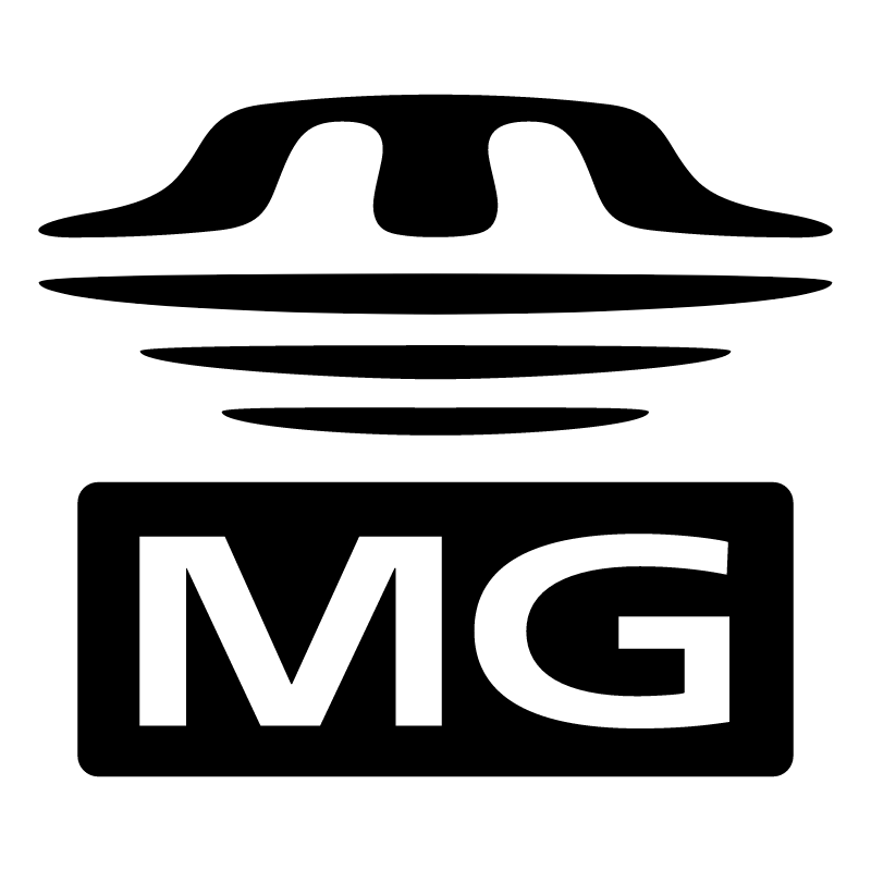 Memory Stick MG vector