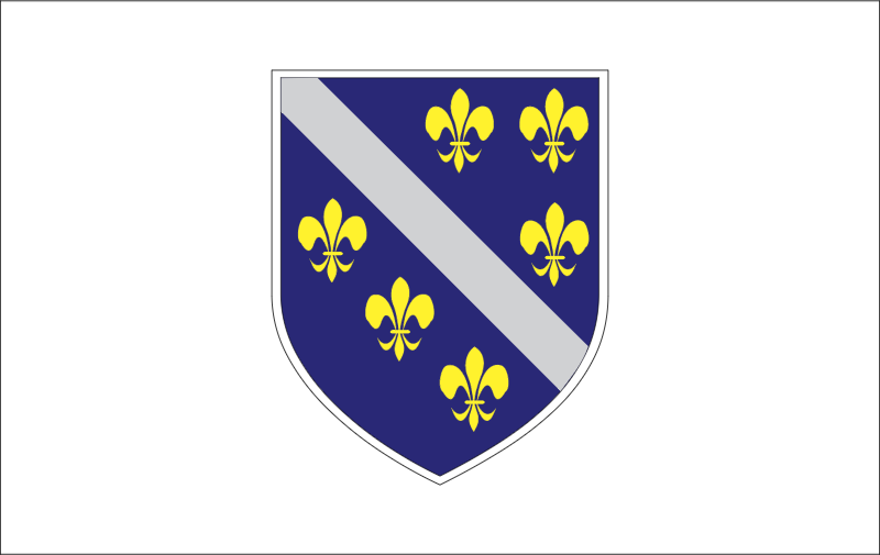 bosniahe vector logo