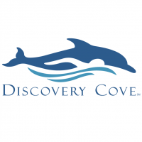 Discovery Cove vector