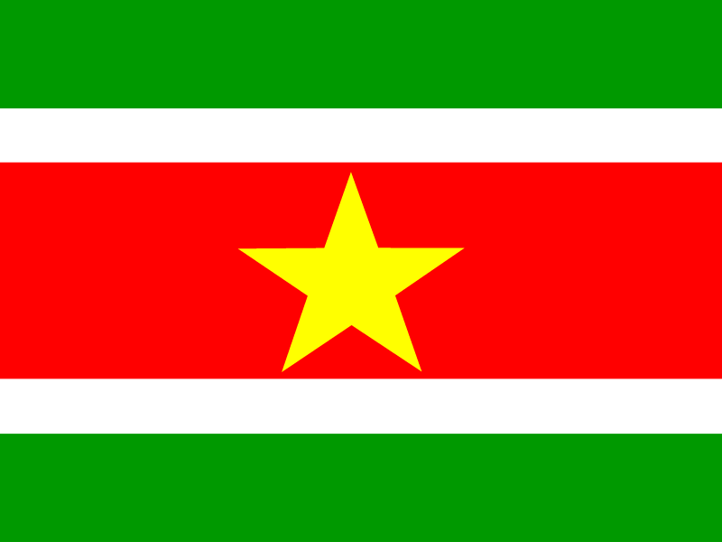 Flag of Suriname vector