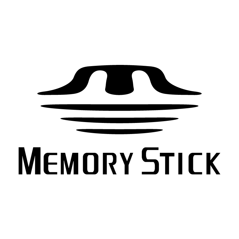 Memory Stick vector