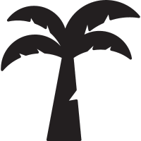 Coconut Tree vector