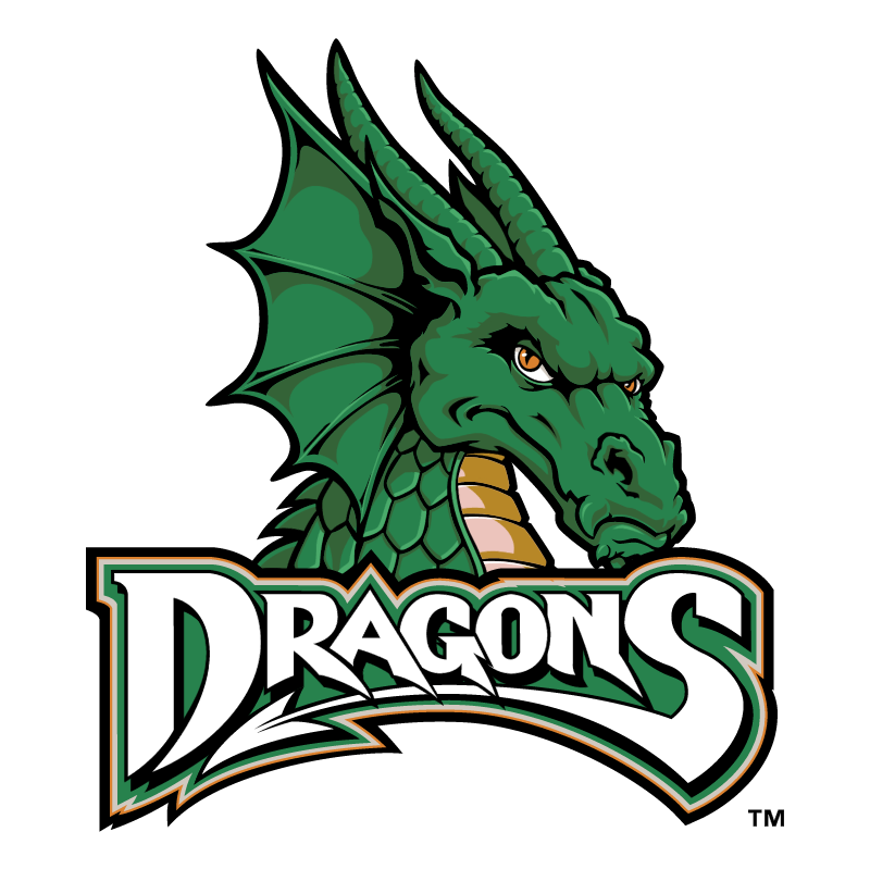 Dayton Dragons vector