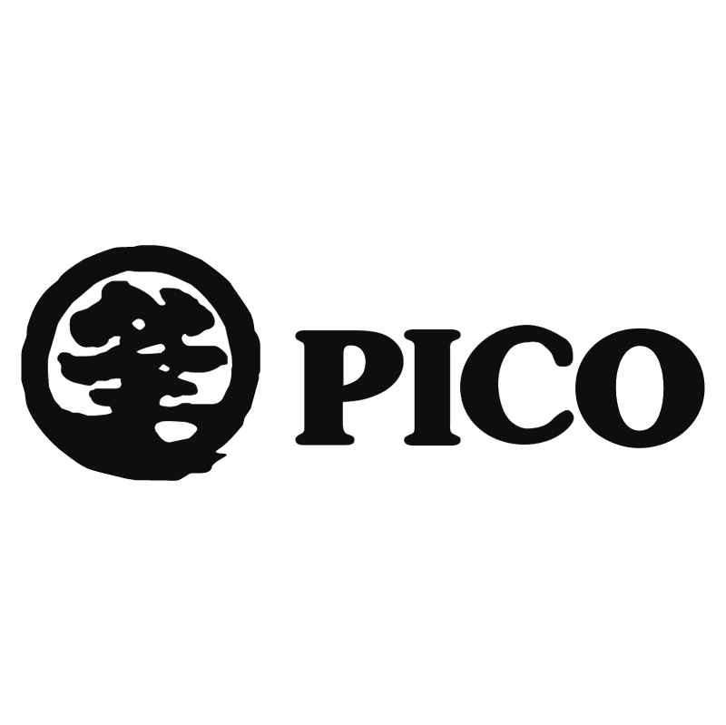 Pico vector
