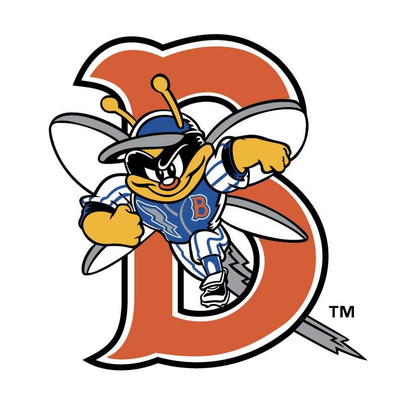 Binghamton Mets vector logo