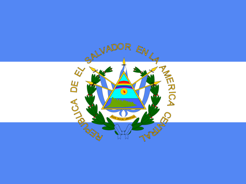 Flag of El Salvador vector