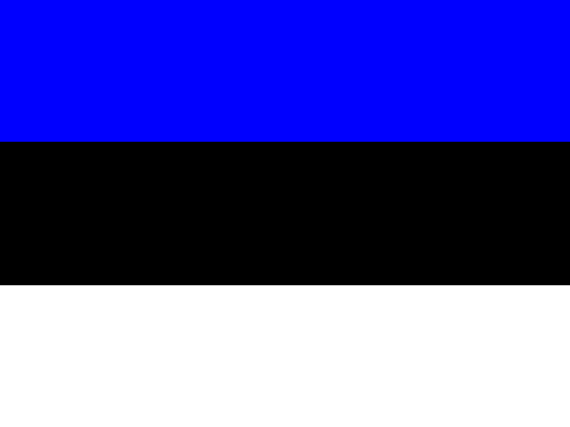 Flag of Estonia vector