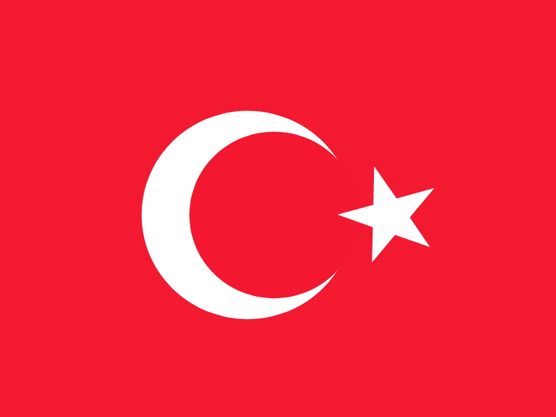 Flag of Turkey vector