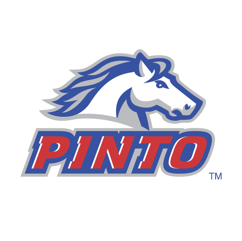 Pinto vector logo