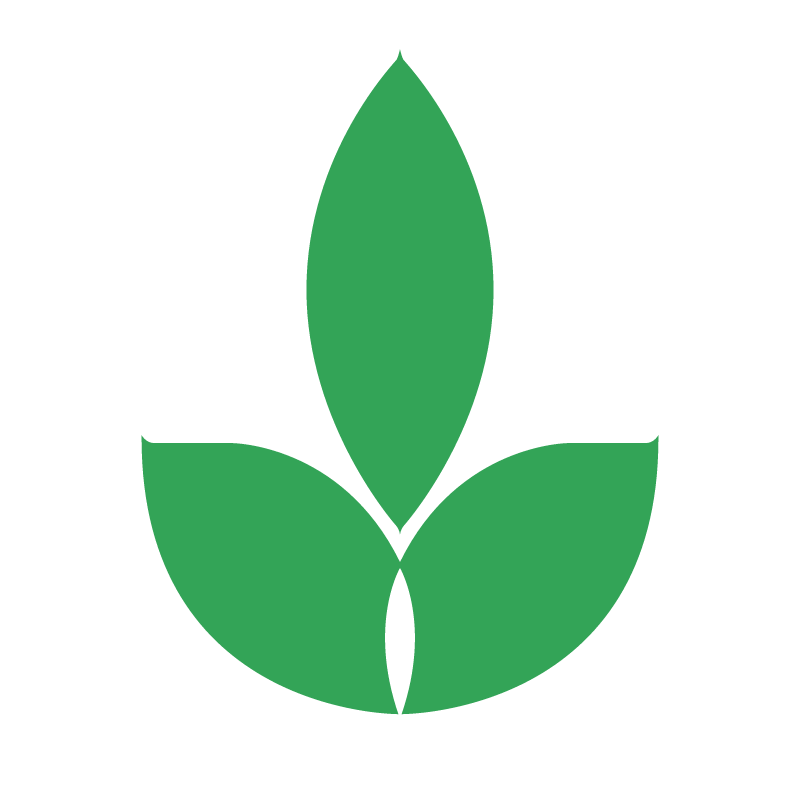 Gaz Naturel vector logo