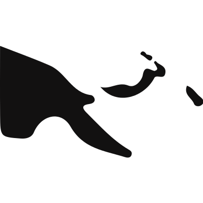 Papua New Guinea country map black shape vector logo