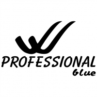 Professional Blue vector